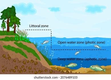 Freshwater Aquatic Ecosystem