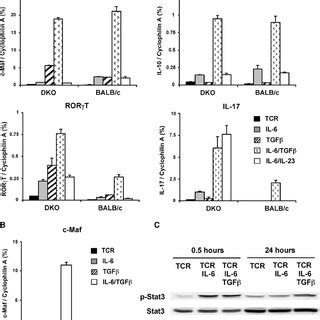 C Maf Expression Correlates With IL 10 Production A Wild Type CD4