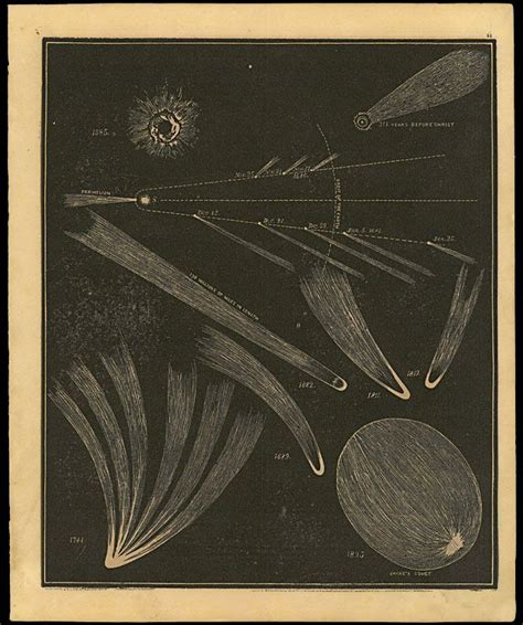 Comets Antique Astronomy Prints Astronomy Poster Antique Prints