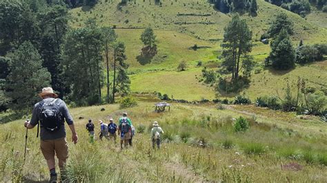 Hiking Sierra Norte Oaxaca Pueblos Mancomunados Eat Walk Learn