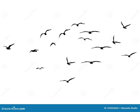 Silhouette Flock Of Flying Birds Flying Birds On White Background Vector Illustration Stock