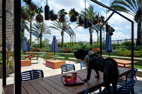 Praça Pet Mooca Plaza praça de alimentação pet friendly na Mooca