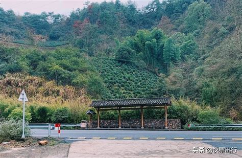 千岛湖一日游最佳攻略穷游千岛湖自由行攻略 密云旅游