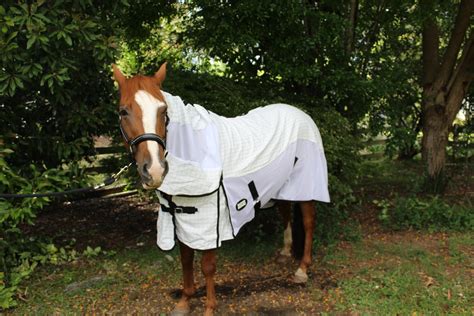 Horse Rug Summer Hybrid Combo Super Horse Saddlery