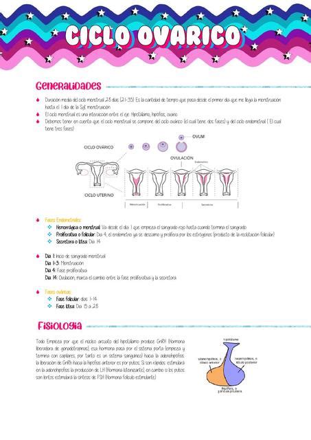 Ciclo Ovarico Resumed Udocz