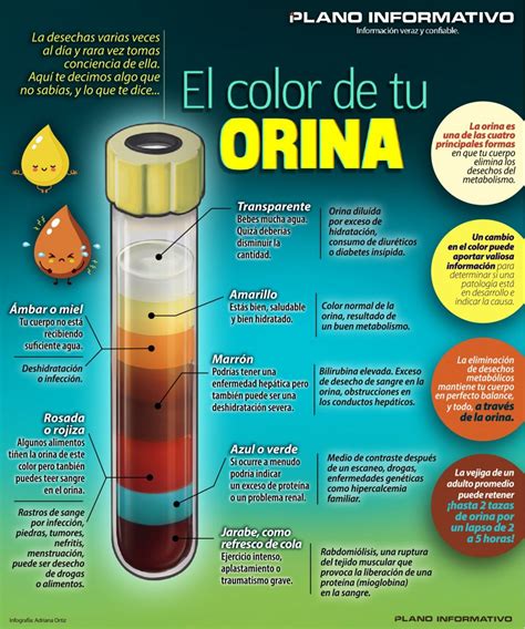 Qu Dice El Color De Tu Orina