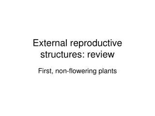 PPT External Female Sex Organs And Reproductive Structures PowerPoint Presentation ID 5518261