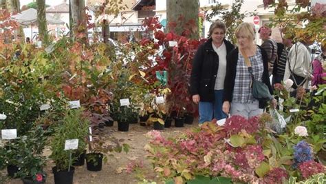 Foire Aux Plantes Ladepeche Fr