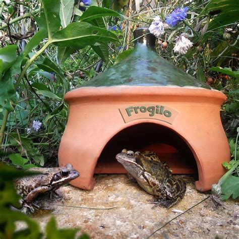 Frogilo Frog And Toad Shelter Frog Habitat Frog House Wildlife