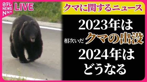 【クマまとめ】北海道・釧路町でクマ「oso18」駆除 4年前から少なくとも牛66頭襲う 吹き矢で麻酔“立てこもりクマ”捕獲 など（日テレ