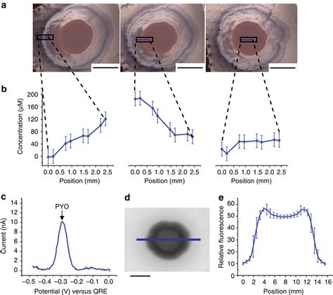 On Chip Spatially Resolved Detection Of Pyocyanin Shown Are Results