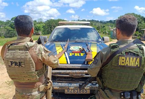 PRF e IBAMA apreendem armas de fogo munições ouro e mercúrio em