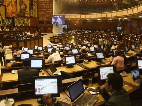 Noticias De Elecciones Generales Temas El Universo