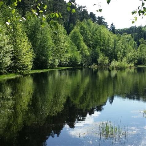 Wandern Pf Lzer Rundwanderung Mit Einkehr Weisenheimer H Tte Tour