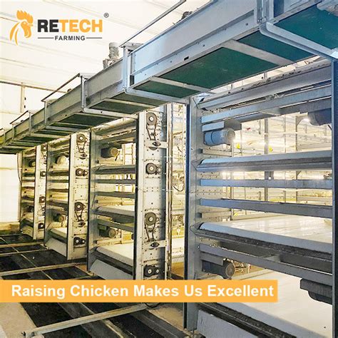 Automatic Broiler Chicken Cage For South Africa Poultry Farm Chicken