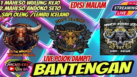 🔴live Bantengan Malam Maheso Andoko Setomaheso Wulung Rejosapi Oleng