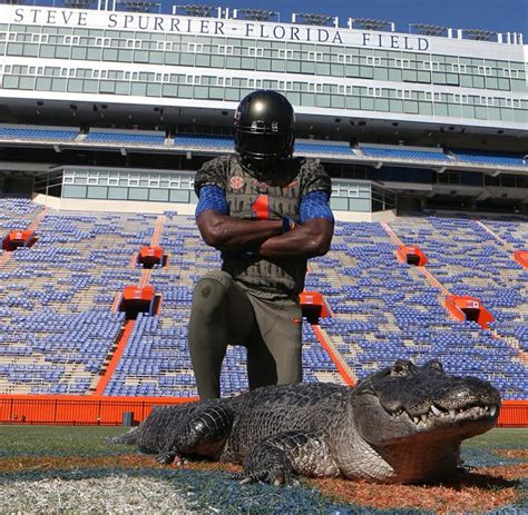 Pin On Gators Florida Gators Football Gator Nation Gators Football