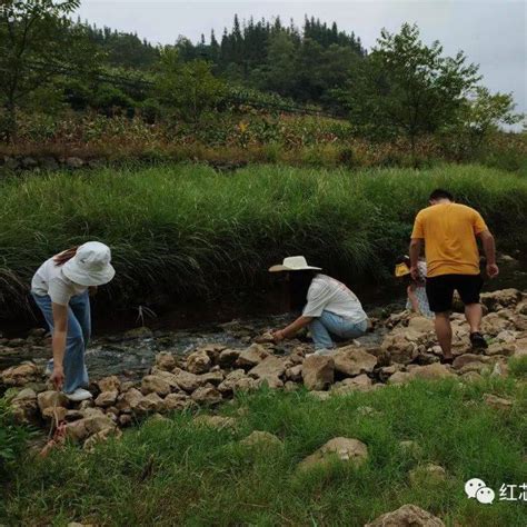 【宜居乡村创建】“清河行动” 促进宜居乡村建设白石岩乡