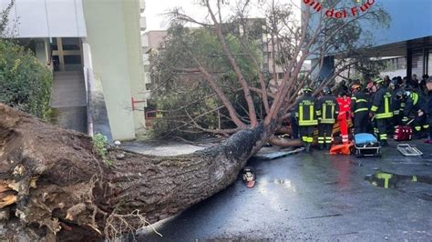 Cade Un Albero All Universit Di Fisciano Tre Studenti In Ospedale