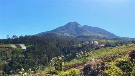 Tarif Pendakian Gunung Lawu Via Candi Cetho Dan Cemoro Kandang Naik