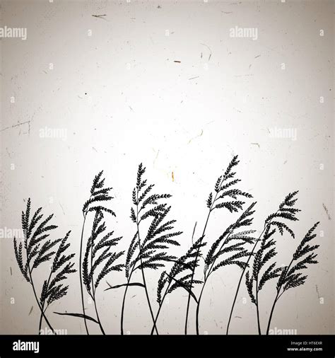 Condolence background hi-res stock photography and images - Alamy