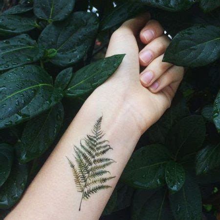 Fern Tattoo: 43 Most Delicate and Creative Fern Tattoo Ideas Ever Created