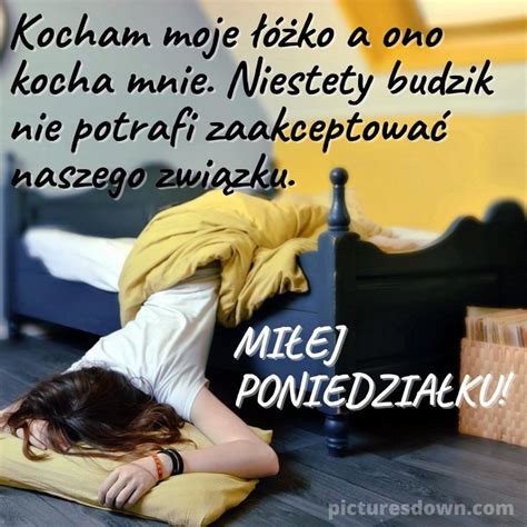 Kartka Dzie Dobry W Poniedzia Ek Mieszne G Owa W Misce