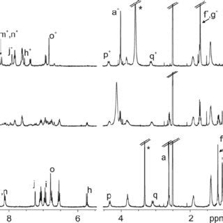 Selected Region Of The 1 H NMR Spectra 400 MHz CD 3 2 SO 298 K