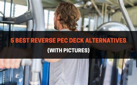 5 Best Reverse Pec Deck Alternatives (with Instructions ...