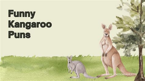 100 Clever Kangaroo Puns - Jokes Garage