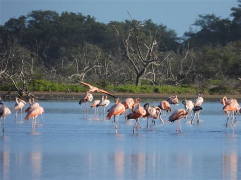 Tour De Luz Y Color Natural Parque Nacional Flora Y Fauna De Los