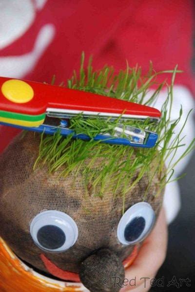 DIY Grass Heads for Kids | DIYIdeaCenter.com