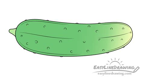 How To Draw A Cucumber Step By Step Easylinedrawing