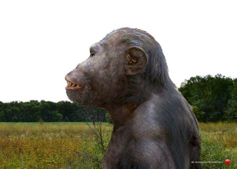 Paranthropus aethiopicus. | Prehistoric animals, Prehistoric world ...