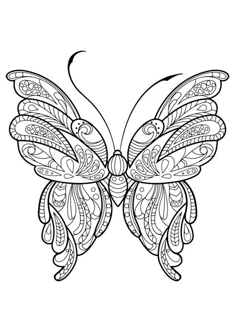 Adult Butterfly Coloring Book