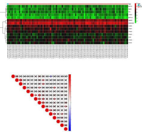 Expression And Correlation Of M6A Methylation Related Genes A