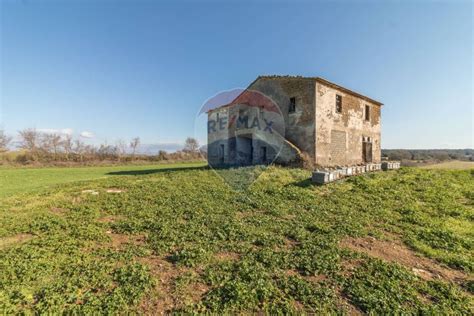 Proprietà rustica in vendita a Ischia di Castro Viterbese Interno