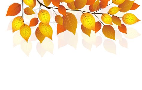 White Autumn Wallpaper White Autumn Free Stock Photos In Format For