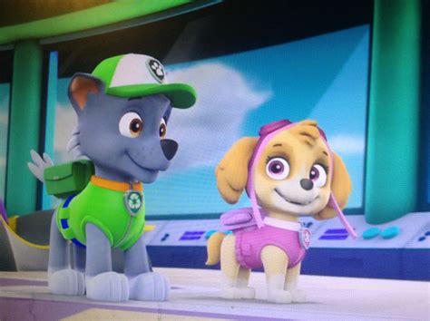 Skye S Gallery Pups Save A Blimp Paw Patrol Cast Wiki Fandom