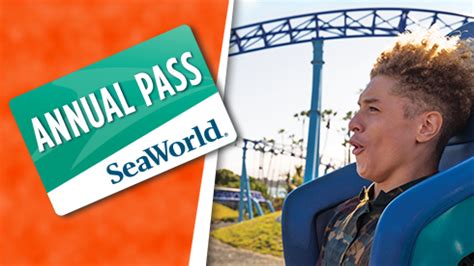 SeaWorld San Diego Tickets Deals 2024: Get SeaWorld Discount Tickets Here!