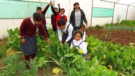 Cusco Qali Warma promueve la implementación de huertos escolares en