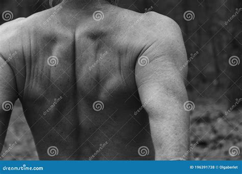 Close Up Graceful Pose Of Female Naked Back Beautiful Athletic Female Body Prominent Muscles