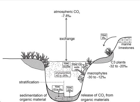 Figure 5 from Terrestrial Impacts of the Central Atlantic Magmatic ...