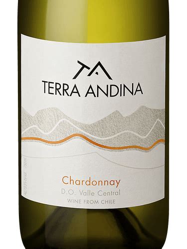 Terra Andina Chardonnay Vivino Brasil