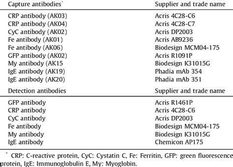 List Of Antibodies Used In The Study Download Table