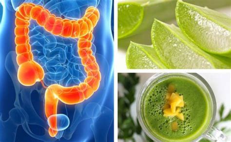 4 frullati deliziosi e curativi per depurare il colon Vivere più sani