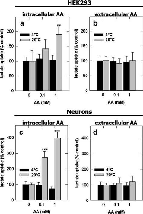 Intracellular Ascorbic Acid Is Able To Stimulate Lactate Uptake In