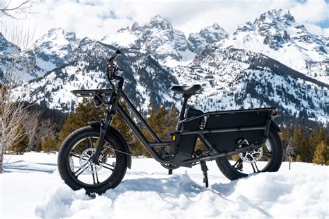 Fiido T2 Cargo A Review Of This Electric Long Tail Bike