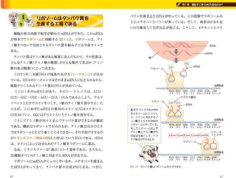 安心の日本製 遺伝子工学がわかる本 Blogknakjp
