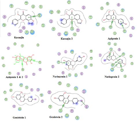 2d Ligand Interaction Diagrams For The Top And The Second Top Pose For